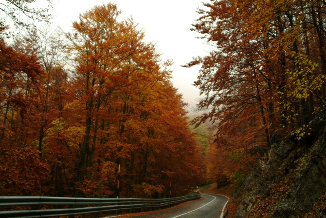 i colori di Guarcino